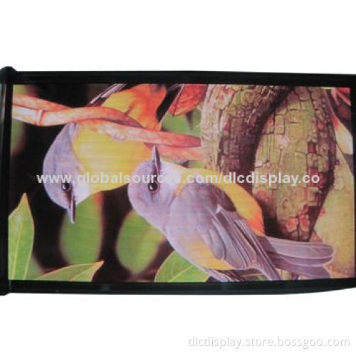 2.83-inch Active Matrix OLED Display Module